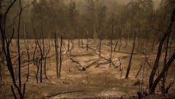 A view of the charred landscape outside Redding, CA, on Sunday, July 29, 2018, in the wake of the massive Carr Fire.