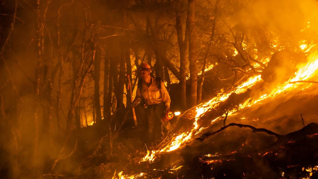 A member of the Little Tujunga Hotshots during a controlled burn against the Mendocino Complex west of Lake Pillsbury on Monday, Aug. 13, 2018.
