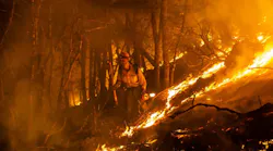 A member of the Little Tujunga Hotshots during a controlled burn against the Mendocino Complex west of Lake Pillsbury on Monday, Aug. 13, 2018.