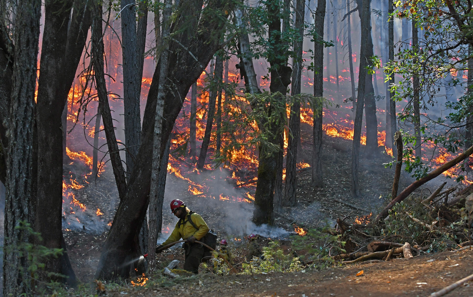 A firefighters works the Taylor Creek fire, which has consumed over 39,000 acres.