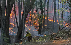 A firefighters works the Taylor Creek fire, which has consumed over 39,000 acres.