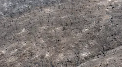 Black and ash covered ground remain along High Valley Road during the Ranch Fire on Aug. 6, 2018 in Lake County.