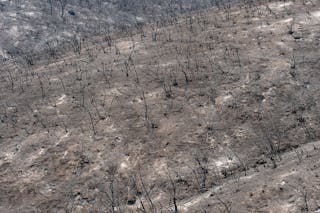 Black and ash covered ground remain along High Valley Road during the Ranch Fire on Aug. 6, 2018 in Lake County.
