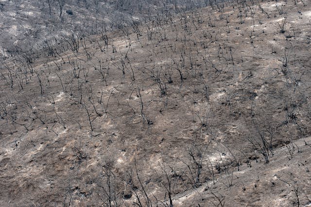 Black and ash covered ground remain along High Valley Road during the Ranch Fire on Aug. 6, 2018 in Lake County.