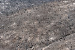 Black and ash covered ground remain along High Valley Road during the Ranch Fire on Aug. 6, 2018 in Lake County. Black and ash covered ground remain along High Valley Road during the Ranch Fire on Aug. 6, 2018 in Lake County.