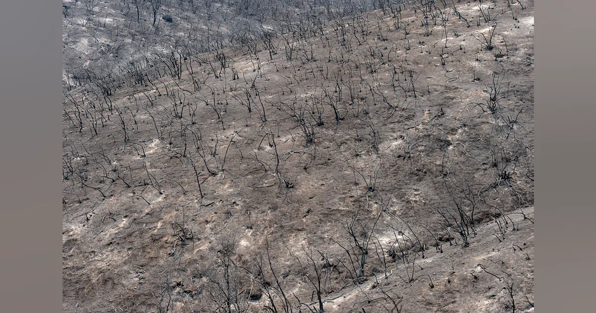 Cooper Ranch Fire Historic Ranch Fire Has Consumed Over 336000 Acres | Firehouse
