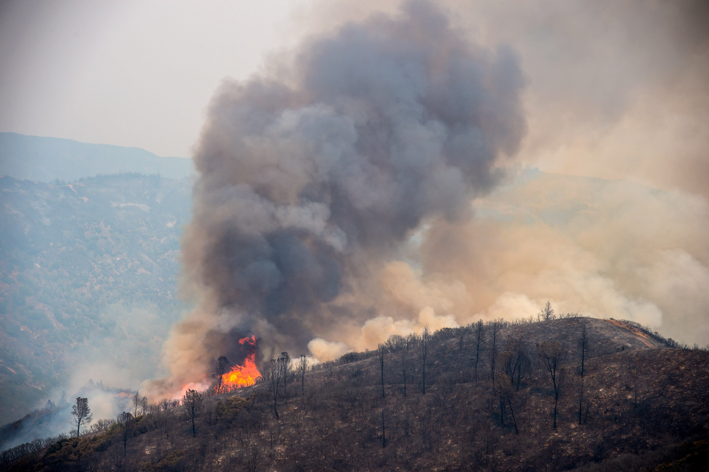 Historic Ranch Fire Has Consumed Over 336000 Acres | Firehouse
