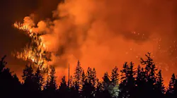 The Delta Fire burning near the Shasta-Trinity National Forest north of Redding, CA, on Sunday, Sept. 9, 2018.
