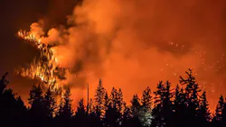 The Delta Fire burning near the Shasta-Trinity National Forest north of Redding, CA, on Sunday, Sept. 9, 2018.