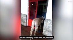 A screen grab from a viral video that got two Venezuelan firefighters arrested for mocking the nation's president. A screen grab from a viral video that got two Venezuelan firefighters arrested for mocking the nation's president.