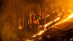 A firefighter monitors a burn operation near the town of Ladoga, CA, on Aug. 7, 2018. A firefighter monitors a burn operation near the town of Ladoga, CA, on Aug. 7, 2018.