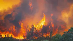 Flames erupt from the River Fire near Scott's Valley Road in Lake County, CA, on Aug. 2, 2018. Flames erupt from the River Fire near Scott's Valley Road in Lake County, CA, on Aug. 2, 2018.