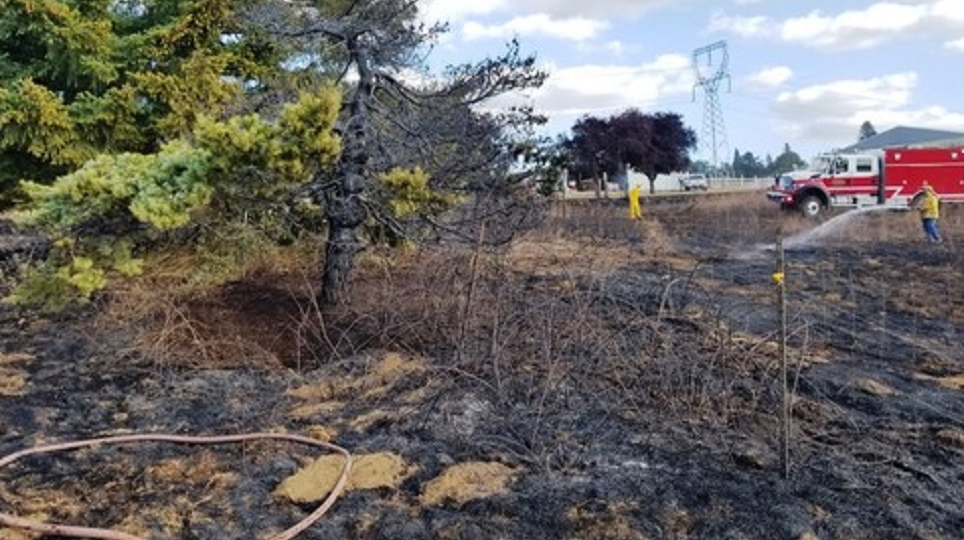 Silverton 5ba8d3469eac2