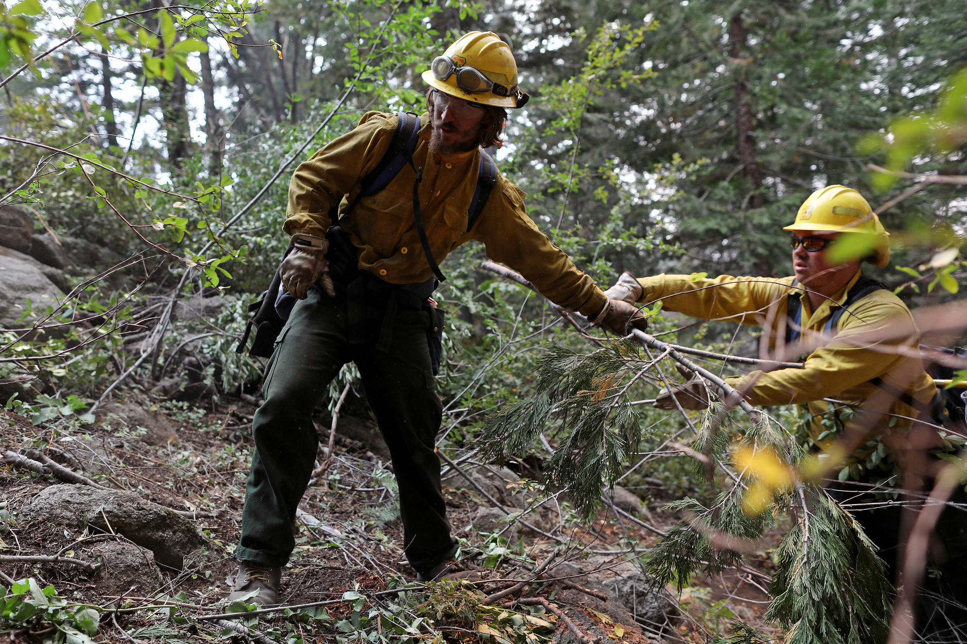 U.S. Forest Service of Inyo National Forest Crew 4 work the Ferguson fire in August.