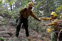 U.S. Forest Service of Inyo National Forest Crew 4 work the Ferguson fire in August.