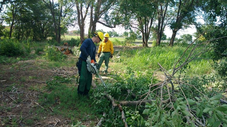 Members of the Amarillo Fire Department's Wildland Team cut away trees to create a fire break in June 2018.