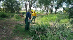 Members of the Amarillo Fire Department's Wildland Team cut away trees to create a fire break in June 2018.