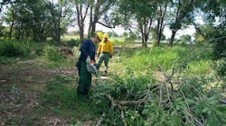 Members of the Amarillo Fire Department's Wildland Team cut away trees to create a fire break in June 2018. Members of the Amarillo Fire Department's Wildland Team cut away trees to create a fire break in June 2018.