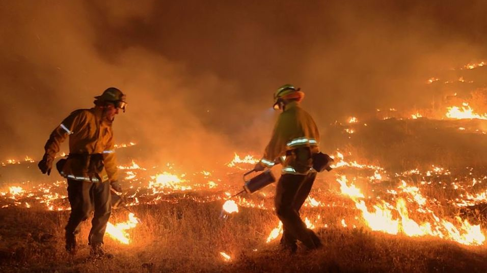 Firefighters conduct a controlled burn during efforts to contain the Boyds Fire in Ferry County, WA, in August 2018.