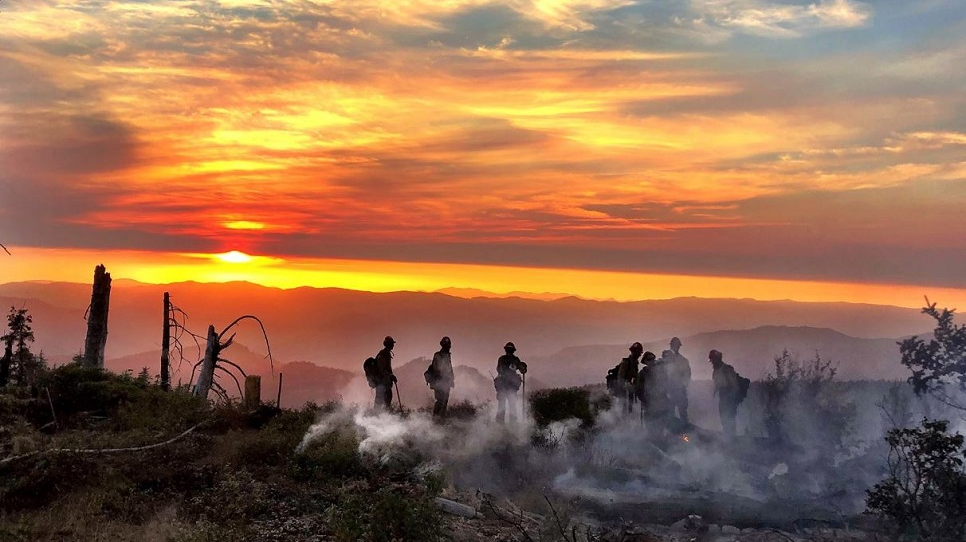 Westmetro 5bd868d9bae5e