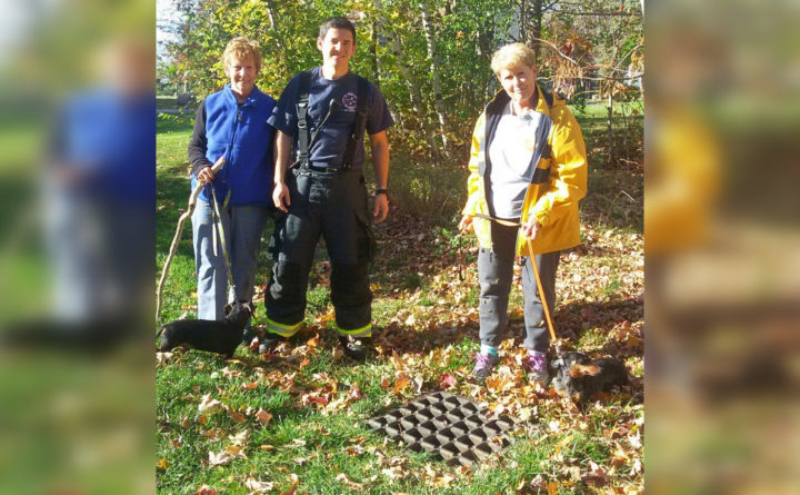 Bangor15132141 H23918356 720x445 5bcc7146739e9