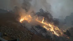 The Camp Fire in Butte County, CA, grew to over 20,000 acres in less than a day.