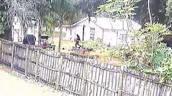 This image taken from surveillance footage shows a man carrying a gas canister before police say he intentionally set fire to a home in Clair-Mel City where three murder victims were found on Thursday, Nov. 15, 2018.