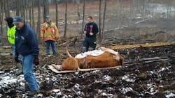 Farmers and Harwinton, CT, volunteer firefighters work to rescue a cow that became stuck in a muddy pasture Wednesday afternoon. Farmers and Harwinton, CT, volunteer firefighters work to rescue a cow that became stuck in a muddy pasture Wednesday afternoon.