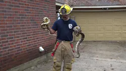 A Caney Creek firefighter holds just a few of the over 100 snakes crews removed from a Conroe, TX, home after a fire on Saturday, Dec. 8, 2018.
