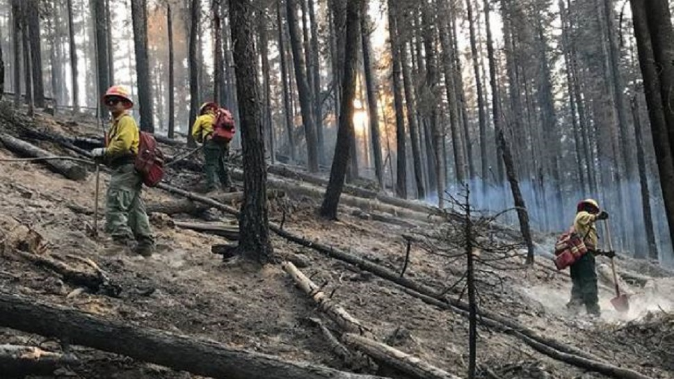 Washstate 5c3a6b49e5eab