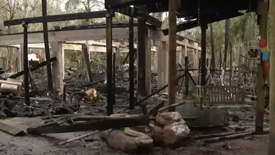 An early Monday fire at an Orange County, FL, wildlife sanctuary killed 41 animals.