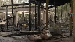 An early Monday fire at an Orange County, FL, wildlife sanctuary killed 41 animals. An early Monday fire at an Orange County, FL, wildlife sanctuary killed 41 animals.