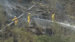 Nearly 50 Honolulu firefighters battled a brush fire Sunday in Kalihi.