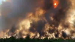 By early Monday, firefighters were able to control a blaze that broke out in Penn State Forest over the weekend. By early Monday, firefighters were able to control a blaze that broke out in Penn State Forest over the weekend.