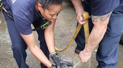 DeKalb County, GA, firefighters gave squirrel a bath after rescuing the creature during an apartment fire Tuesday.