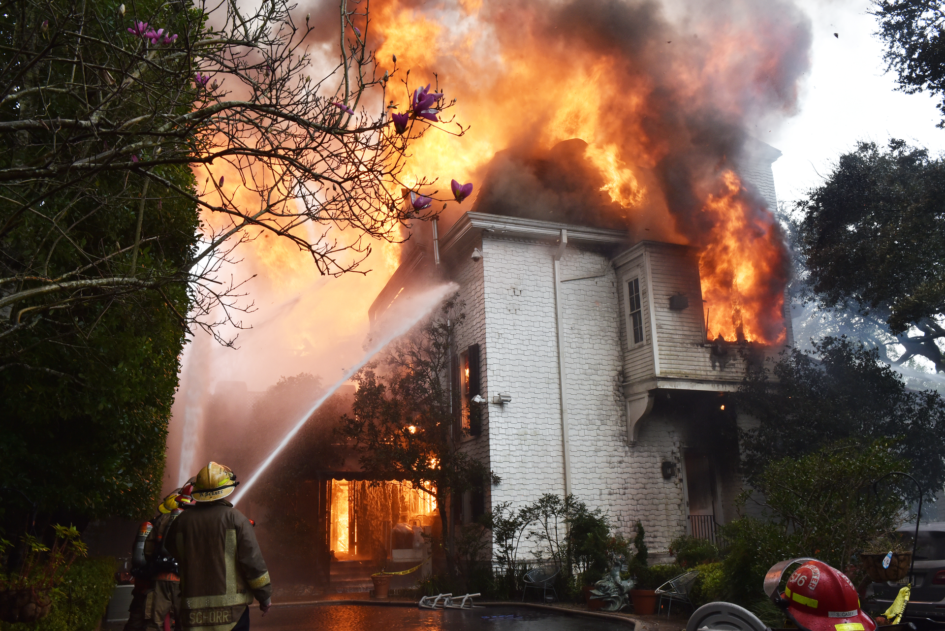 New Orleans, Feb. 20, 2019