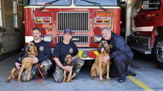 Greensburg PA Fire Department's Bloodhound Team Celebrates 50 Years