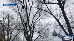 Manchester firefighters needed a 100-foot ladder to rescue a man who became stuck in a tree trying to retrieve his drone Wednesday.