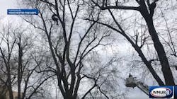 Manchester firefighters needed a 100-foot ladder to rescue a man who became stuck in a tree trying to retrieve his drone Wednesday. Manchester firefighters needed a 100-foot ladder to rescue a man who became stuck in a tree trying to retrieve his drone Wednesday.