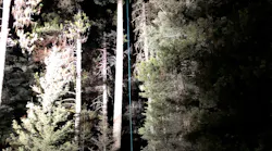 After the firefighter ascended the tree and set up a rigging system, the pilot was lowered from the plane to rescuers on the ground. The operation took two hours.