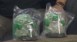A fundraiser earned $800, enough to buy 18 pet oxygen masks for fire stations in Tupelo, MS, and Lee County.