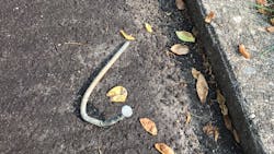 Spike 5cf2e44eb06a7 Spike 5cf2e44eb06a7