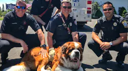 South Portland, ME, firefighters pose with 155-pound St. Bernard, Bear, who was rescued from a second-story roof Wednesday.