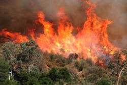 In the continental United States, and in much of Alaska and Hawaii, the deadliest and fastest growing fuel type is the combination of vegetation and homes. In the continental United States, and in much of Alaska and Hawaii, the deadliest and fastest growing fuel type is the combination of vegetation and homes.