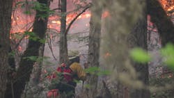 Firefighters battle a wildfire at Milepost 97 near Canyonville, OR, the largest wildfire in the state so far this season.