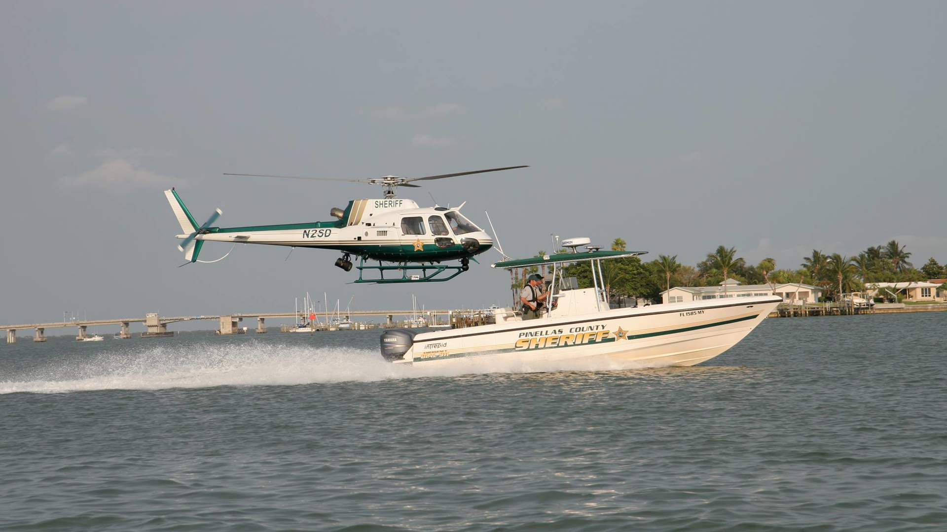 Pinellas County Sheriff S Office Fl 5d39b1a2a17d8