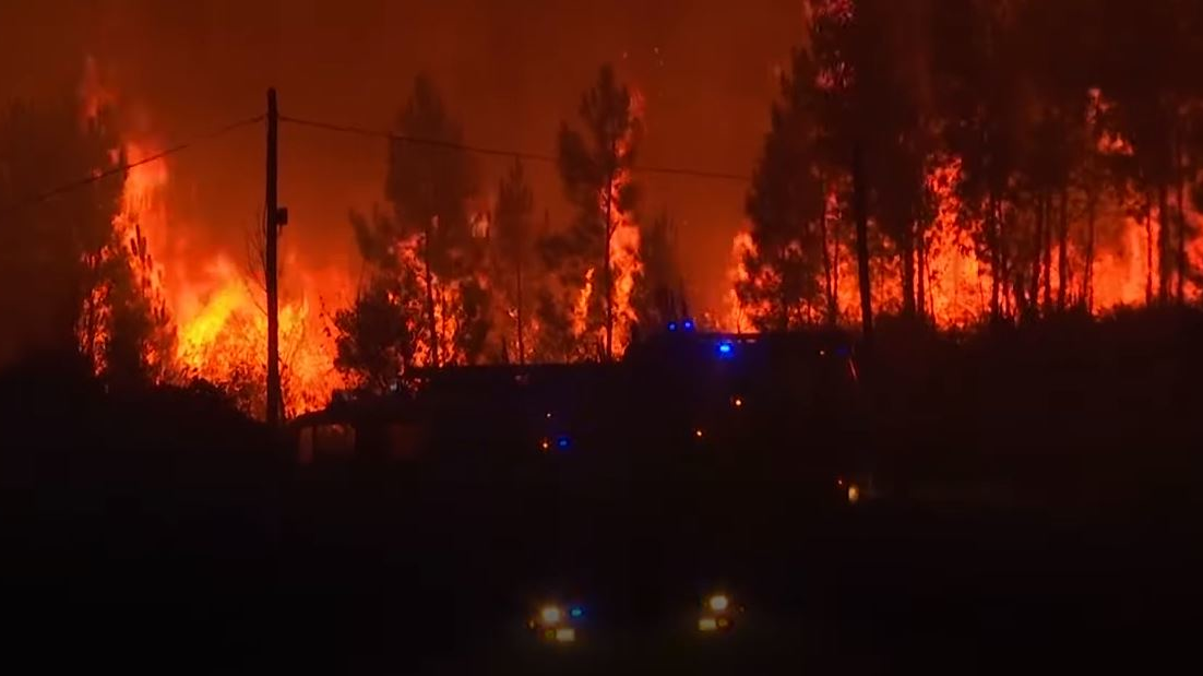 About 1,000 firefighters and more than 300 apparatus have been deployed to battle forest fires near the districts of Vila de Rei and Macao.