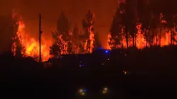 About 1,000 firefighters and more than 300 apparatus have been deployed to battle forest fires near the districts of Vila de Rei and Macao.