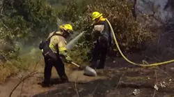 Firefighters from four departments battled a one-acre brush fire Tuesday in San Diego's Sabre Springs community.