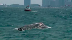 Boat Capsizes